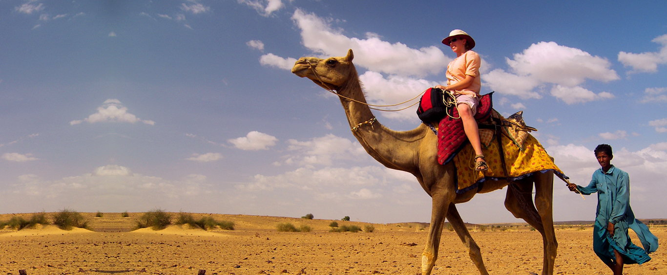 Camel Safari, Rajasthan