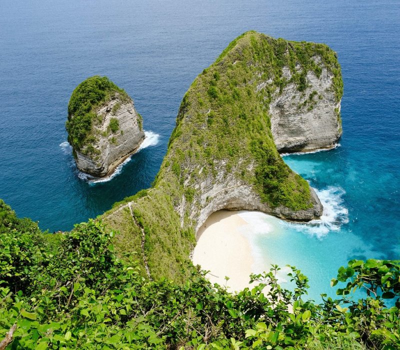 bali, indonesia, kelingking, nature, sea, island, tree, forest